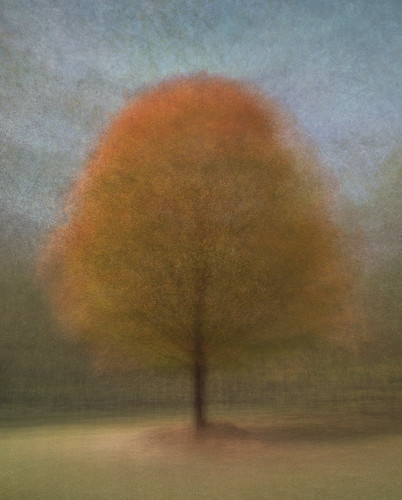 Impressionist Autumn Tree