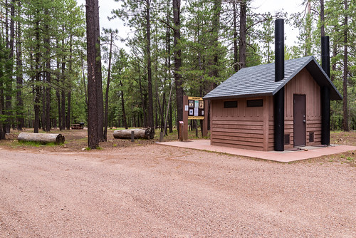 arizona coconinonationalforest forestservice knolllakecampground mogollonrimrangerdistrict pentaxk1 usfs campground camping forest outdoors summer happyjack unitedstates