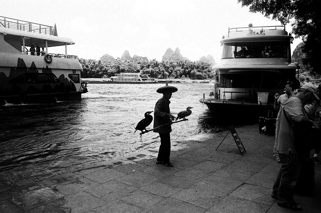 Cormorant fisherman, Yangshuo