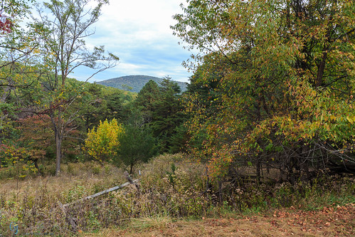 trees westvirginia fallfoliage mountains autumn nature cabins unitedstates us