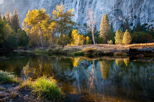 Yosemite Valley Merced River Reflection _1