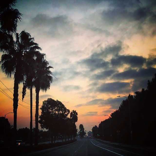 I guess there are some perks to the zero period commute. #hellosunrise #skyscape #morningcommute #daybreak #palmtreereverie #shuttersisters #elevatetheeveryday