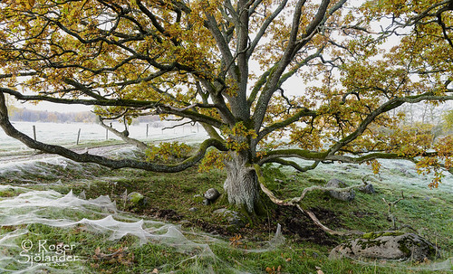 ågesta_nr5 | by Roger13Foto