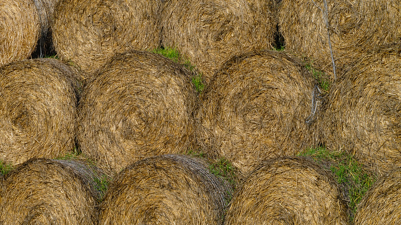 Pattern: straw bales