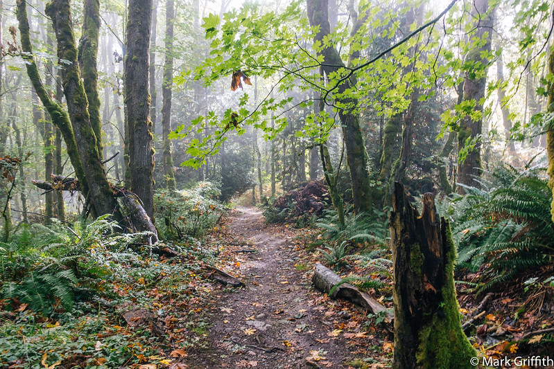Bear Ridge Trail