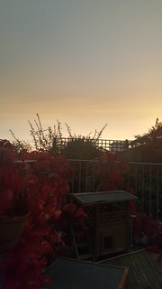 Storm Ophelia sandy sunset