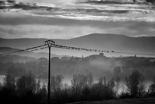 paisaje paisvasco landscape naturaleza nubes niebla fog pájaros birds clouds basquecountry blackandwhite blancoynegro bw sinespejo sony sonya7ii sonya7m2