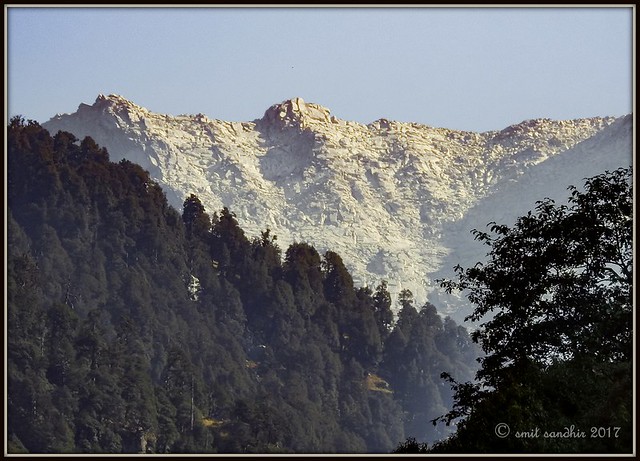 Dhauladhar Mountains