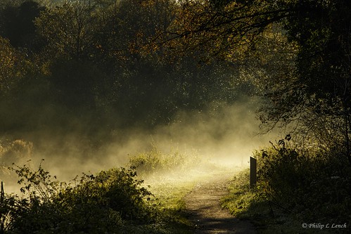 wolverley kidderminster worcestershire staffordshireworcestershirecanal sunrise mist