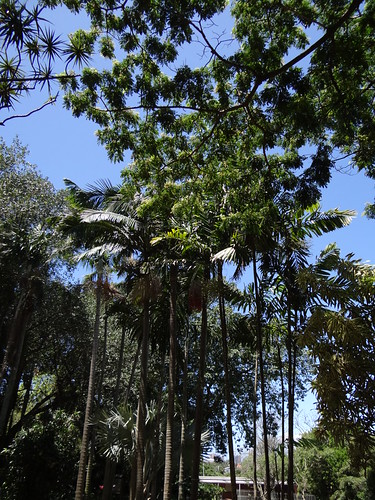 Durban Botanical Gardens