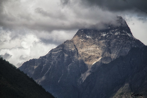 Basomtso National Forest Park, Tibet, China | by cattan2011