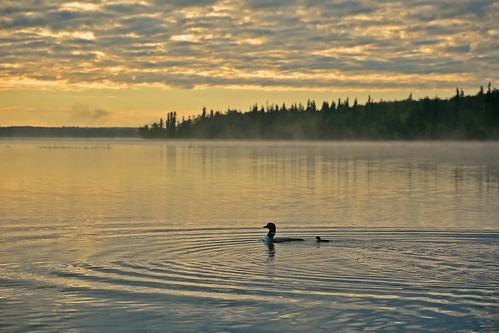 Wolf Lake Provincial Recreation Area