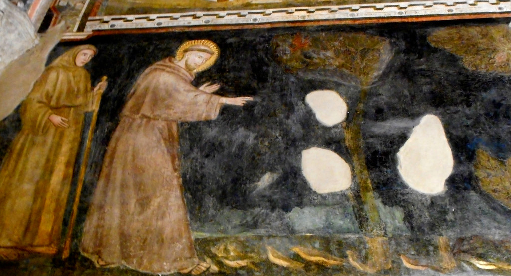 'Saint Francis preaching to the birds' - fresco about 1315-1320 by unknown Neapolitan painter - Donnaregina Vecchia Church-Museum in Naples