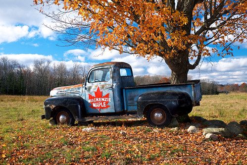 03ndsoftgrad 1951fordtruck abandoned autumn brucemines canada centrelineroad clouds decay fall2017 fallcolor fallcolour fallenleaves farm field ford fujixt1 landscape leeseven5 mackenziemaple mapletree northernontario ontario pickup plummeradditionaltownship rocks rural toad tree truck viveza xf1855mm