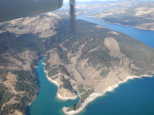 usda usfs forestservice foresthealthprotection stateandprivateforestry region6 r6 aerialsurvey aerialdetectionsurvey aerialdetectionsurveys aerialforestinsectanddiseasedetectionsurvey mountainpinebeetle franklindrooseveltlake washington 2014 forestinsect treemortality deadtree aerial photo insect damage forest