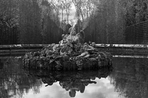 automne exposition fall jardins m9 parc park versailles bassin fontaine fountain nb bw reflet nicolasthomas reflection reflect texture matière