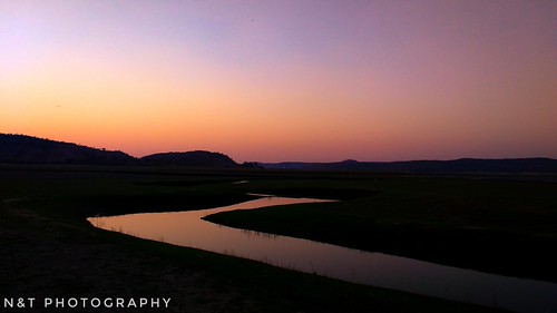 Evening light | by nature&travel photography