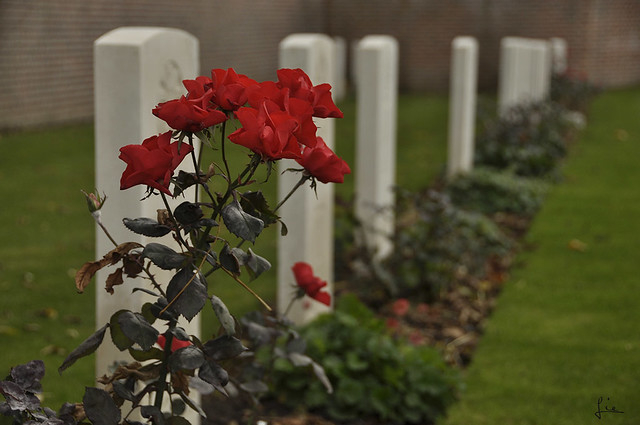 At the going down of the sun and in the morning ,  We will remember them ...