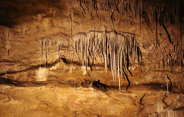 Carlsbad Caverns  (Explored-many thanks.)