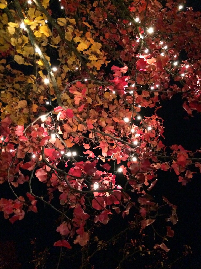 Christmas leaves