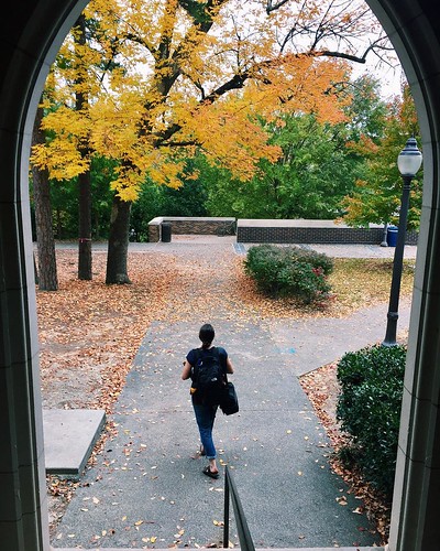 It’s back to the Monday morning hustle, but at least the trees are putting on their best #dukefall show. ???? #pictureduke #dukestudents #dukeuniversity //PC: @elizabeth_minnie