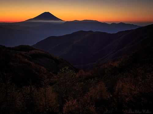 櫛形山 富士山 池の茶屋林道 秋 紅葉