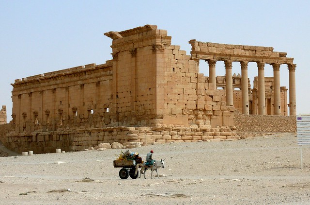 Palmyra (Syria) / Пальмира (Сирия) 2008