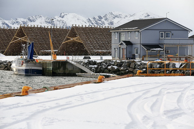 Grey cottage-blue fishing boat-huge hjells for stockfish drying. Laukvik-Austvagoya-Lofoten-Norway. 0638