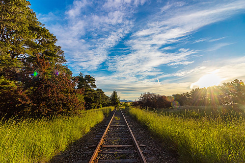 traintracks abandoned unused trainline sunset australia goldenhour goldenlight canberra railway sunflare flare overgrown longgrass clouds