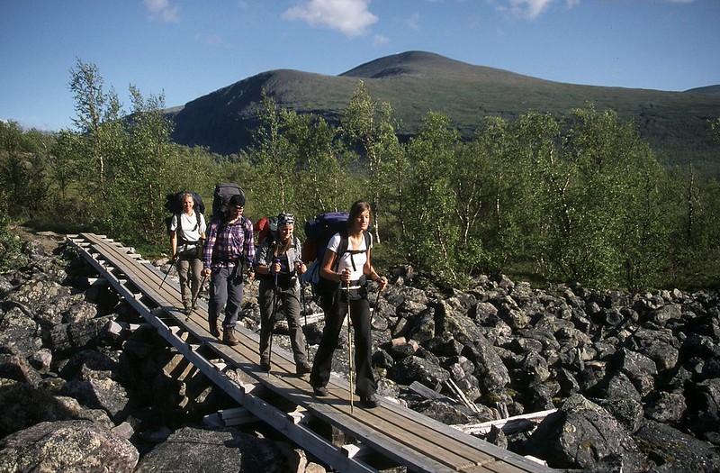 t0306076F | Auf dem Weg von Nikkaluokta zur Kebnekaise-Fjällstation. Kebnekaise-Gebiet / Sápmi (Lappland), 07.08.2003