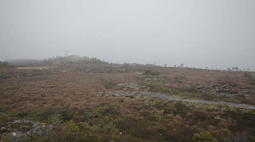 mountain fog mist marsh bog tower wet autumn strætasfjellet lånke stjørdal trøndelag norway november rain canoneos5dmkiv canonef1635mmf4lisusm