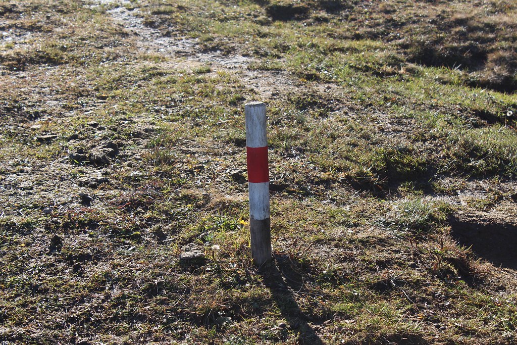 Brambrüesch