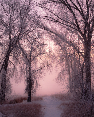 fog sunrise winter saskatoon saskatchewan canada ca