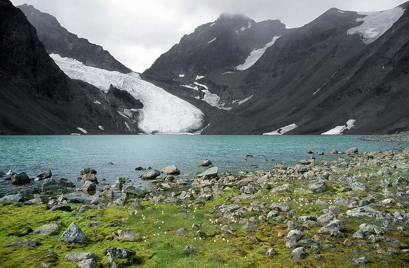 t0306088P | Der See Tarfaljavvri mit dem Kebnepakteglaciär und dem Berg Kaskasapakte (2043 m). Ein kalter stürmischer Augusttag, eisig weht der Wind vom Gletscher über den See. Kebnekaise-Gebiet / Sápmi (Lappland), 08.08.2003