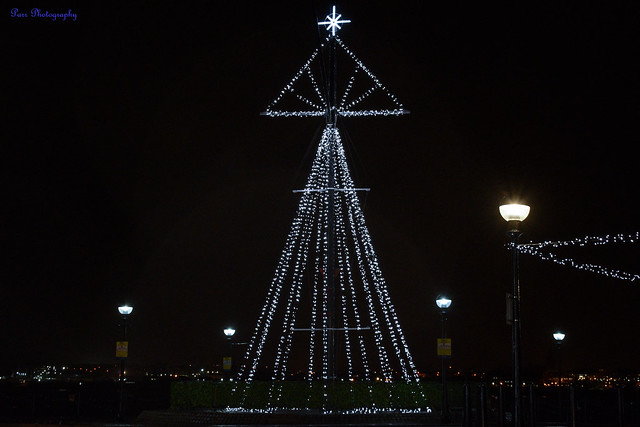 Albert Dock Christmas Tree