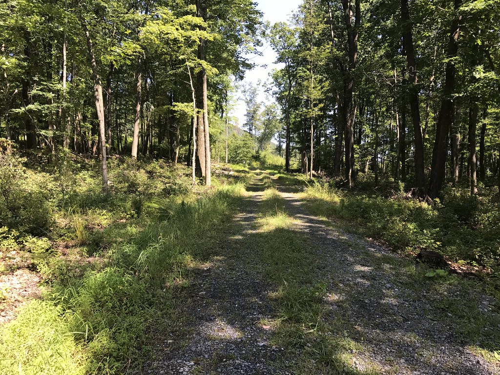 Old Laurel Run Trail