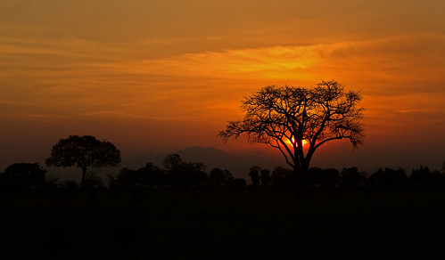 geo:lat=734324100 geo:lon=3713161100 geotagged tanzania africa afrika wildlife safari mikuminationalpark landschap landscape scenic scenery zonsondergang sunset