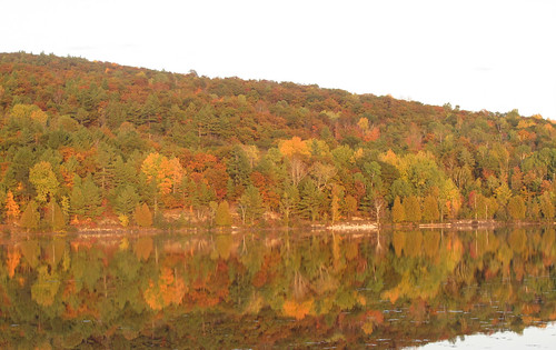 autumn fall reflections clydelake ontario canada geocode:accuracy=100meters geocode:method=gps geo:country=canada