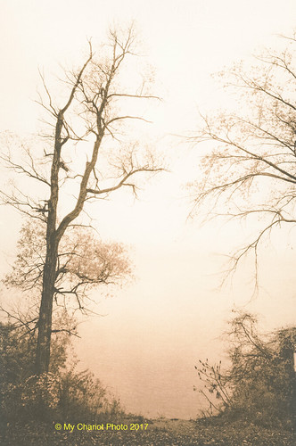 FL_shore_path | by mikeq at My Chariot Photo
