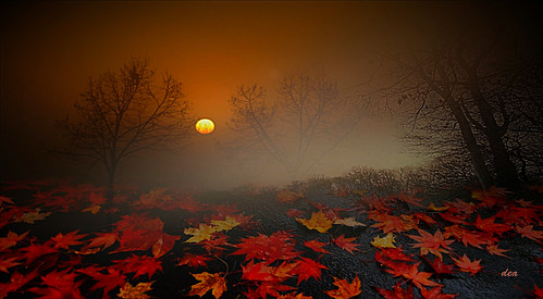 romantic autumn | by claudiadea131