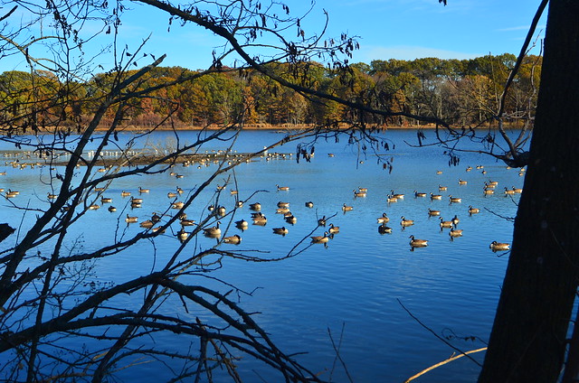 Hempstead Lake State Park