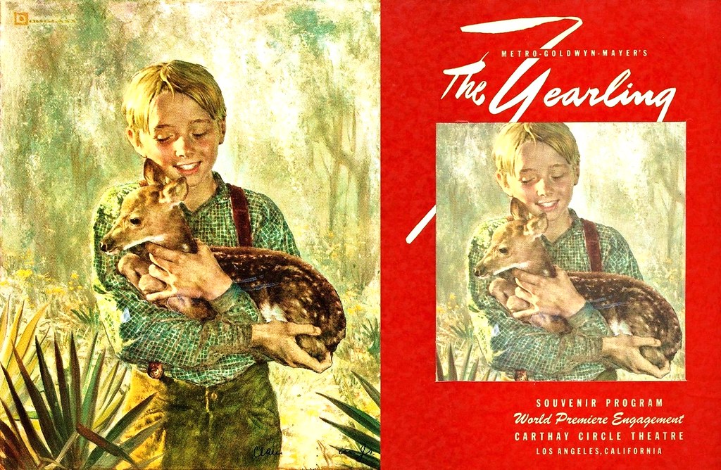 The Yearling (1946 / Metro-Goldwyn-Mayer) front & back covers