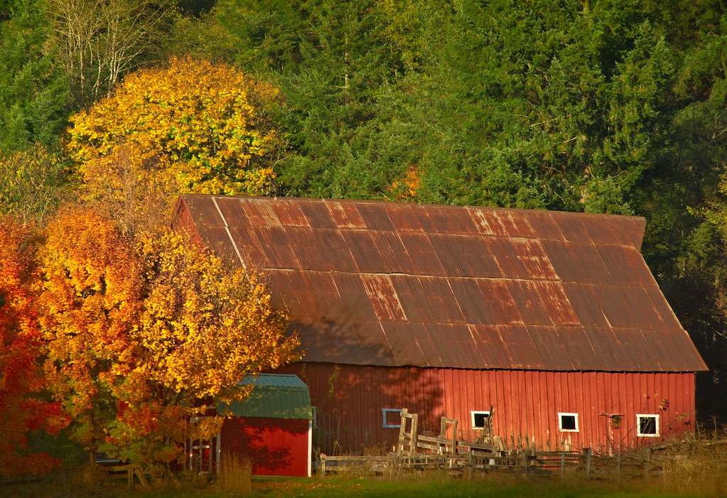 Autumn Barn 4744 B | Barn with autumn colors in northern Cla… | Flickr