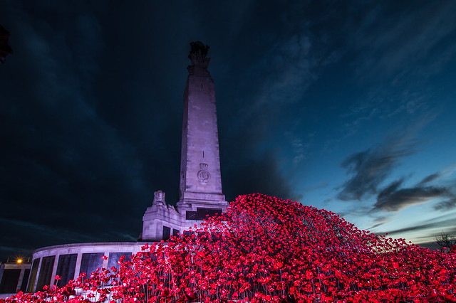 Plymouth Poppy Wave