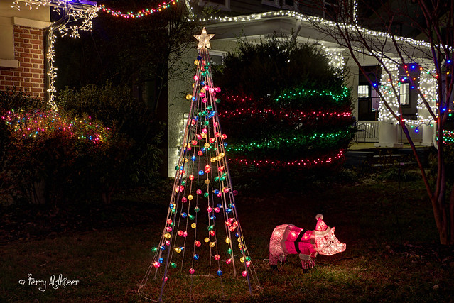 Christmas Pig and Tree Westover Avenue