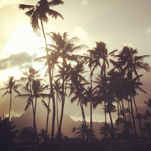 pacific warm backlight sunset beach iphoneography instagram hawaii kailua oahu mountains silhouette palms