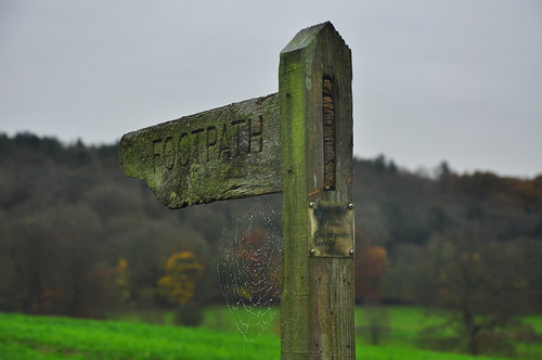 Pointing the way | by Nick White2009
