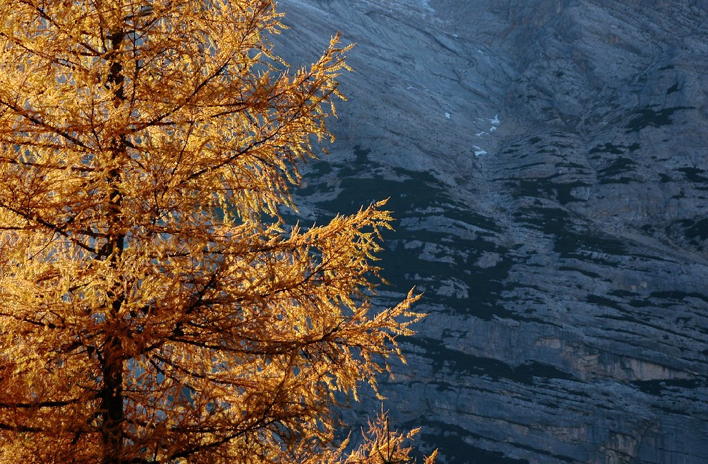 Herbst im Val Fanes