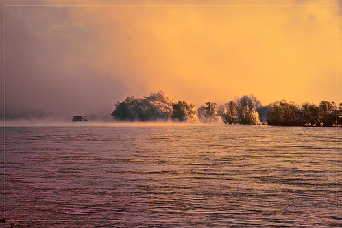 590nm fullspectrum infrared ir rheinbeioestrich fog nebel autumn herbst hiver rhine schiff ship boat trees arbres bäume
