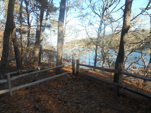 Walk in the woods | by A time or two